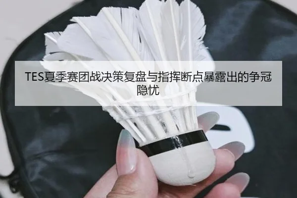 TES夏季赛团战决策复盘与指挥断点暴露出的争冠隐忧
